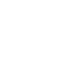 Image module
